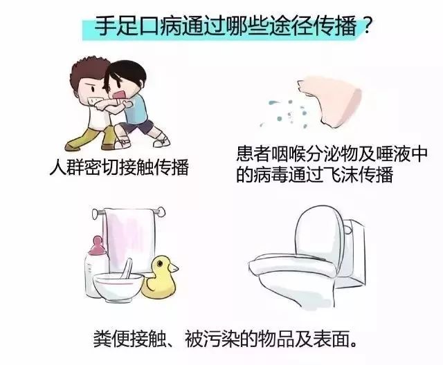 手足口传播途径.jpg