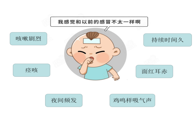 百日咳症状.png